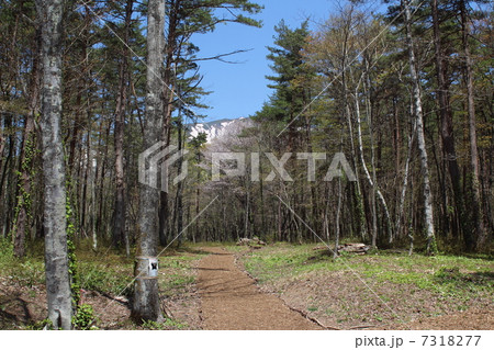 鞍掛山の登山口(相の沢キャンプ場) 鞍掛山の登山口(相の沢キャンプ場) 7318277