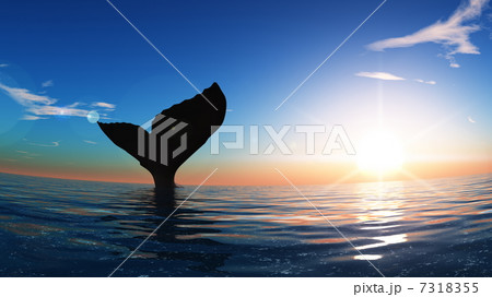クジラ 7318355
