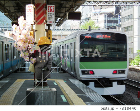 小便小僧　山手線　E231系　外回り　京浜東北線　Ｅ233系　南行　浜松町駅 7318440