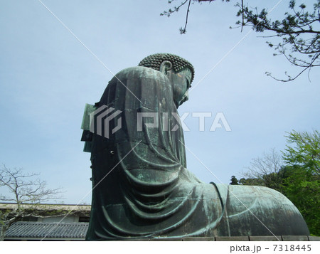 鎌倉　大仏 7318445