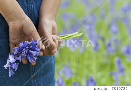 Little Girl With A Bunch of Bluebells 7319722