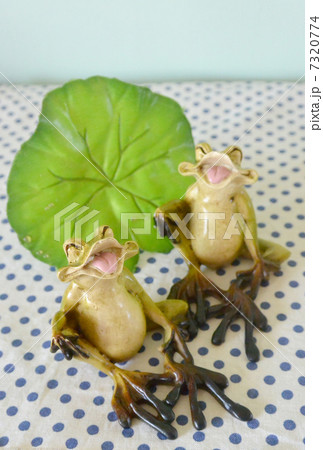 楽しそうな2匹のカエルと蓮の葉 楽しそうな2匹のカエルと蓮の葉 7320774