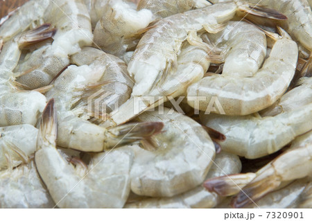 生の芝エビのクローズアップ 生の芝エビのクローズアップ 7320901