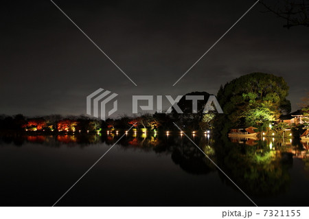 大覚寺 大沢池 紅葉ライトアップ 7321155