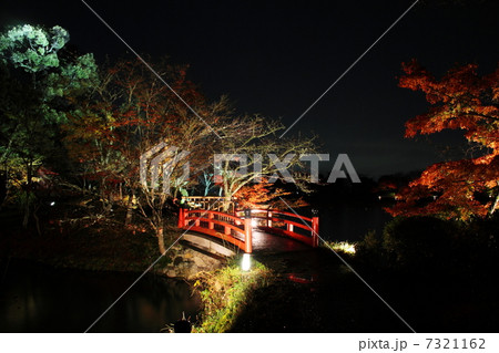 大覚寺 橋 紅葉ライトアップ 7321162