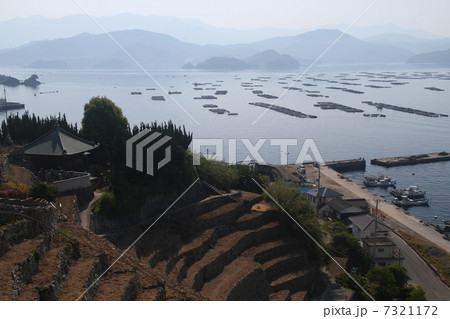 宇和海と段々畑 7321172