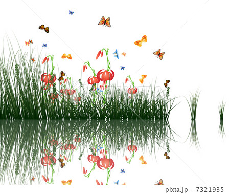 grass with reflections in water 7321935