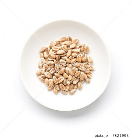 国産有機小麦の玄麦 国産有機小麦の玄麦 7321998