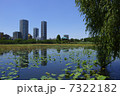 不忍池Ⅰ 7322182
