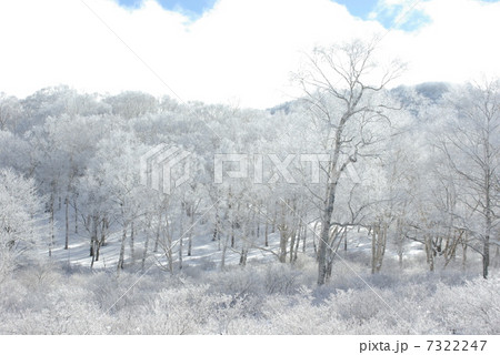 -7℃ 7322247