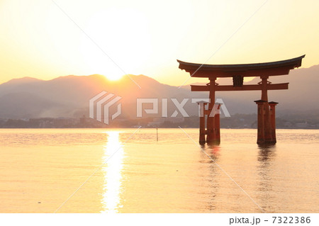 大鳥居5 大鳥居5 7322386