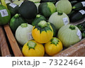 野菜 7322464