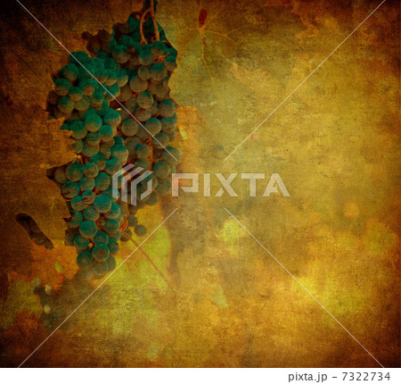 vintage image of grape 7322734