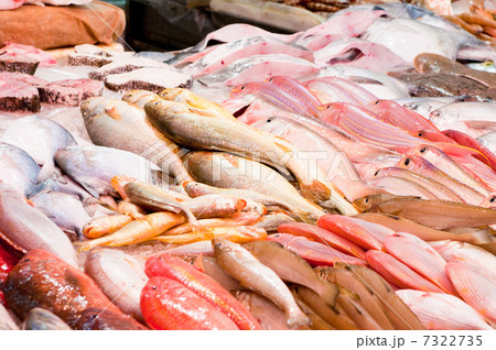 fresh fish at a fish market 7322735