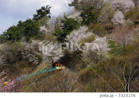 びんぐしの里公園 びんぐしの里公園 7323156