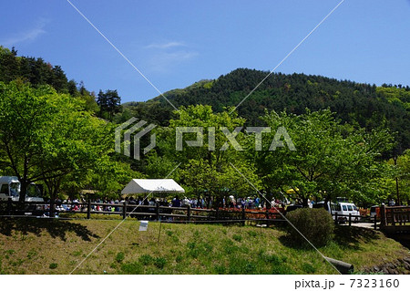 びんぐしの里公園 7323160