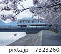 桜電車1 7323260