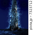 光る木の幹 7323712