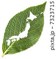 葉の中の日本 7323715