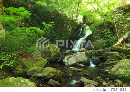 飛騨高山・宇江津四十八滝 「梵音滝」 飛騨高山・宇江津四十八滝 「梵音滝」 7324031