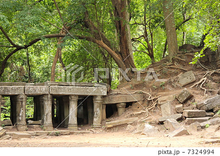 ベンメリア遺跡　 7324994