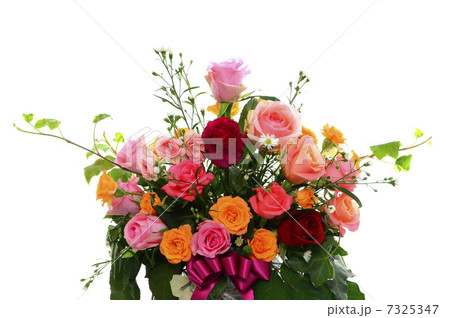 薔薇の花束 薔薇の花束 7325347