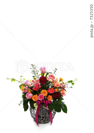 薔薇ギフト 7325350