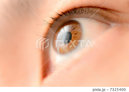 美しい眼 美しい眼 7325400