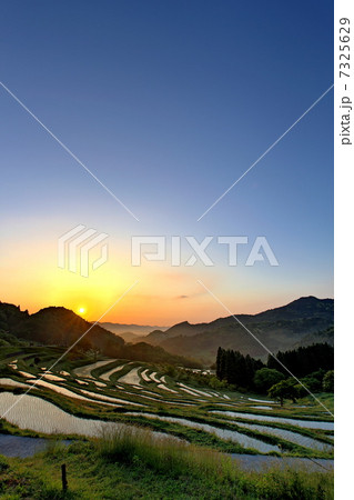 棚田の朝 棚田の朝 7325629