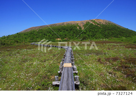 湿原と吾妻小富士 湿原と吾妻小富士 7327124