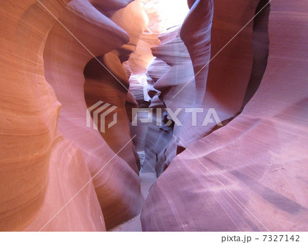 アンテロープ 7327142