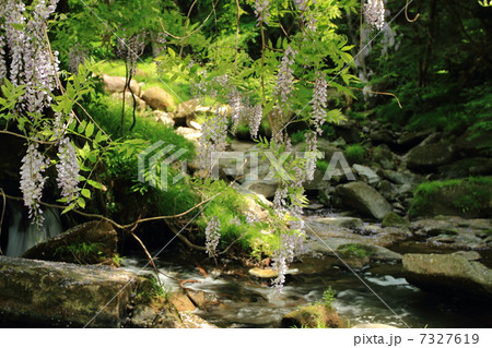 馬洗川渓谷 馬洗川渓谷 7327619