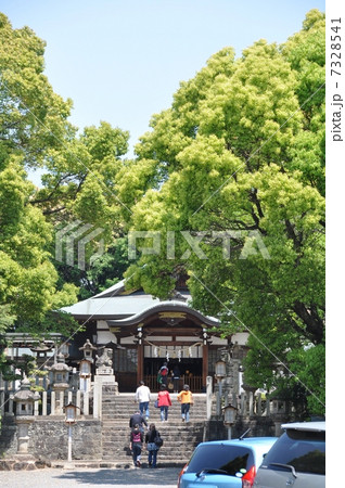 成海神社 名古屋 成海神社 名古屋 7328541