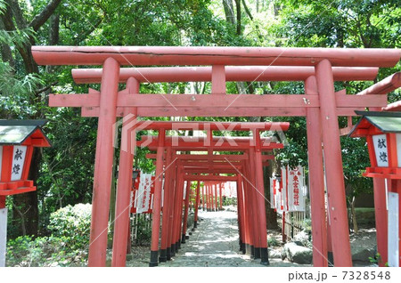 成海神社 名古屋 成海神社 名古屋 7328548