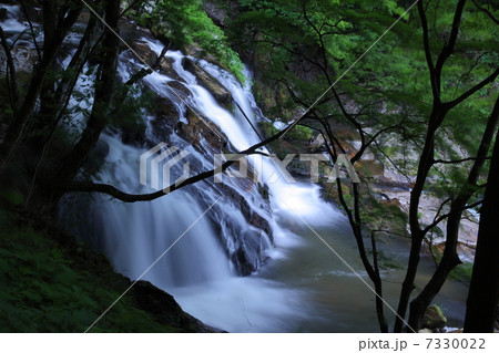 江竜田の滝 7330022