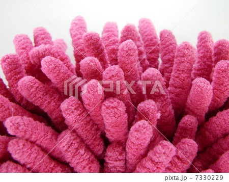 モップ モップ 7330229