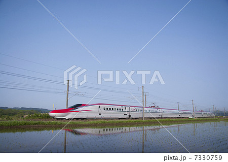 水鏡に映るこまち 水鏡に映るこまち 7330759