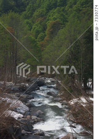 魚沼市の沢 7330774