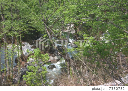 魚沼市の沢 魚沼市の沢 7330782