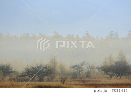 秋の小田代が原 秋の小田代が原 7331412