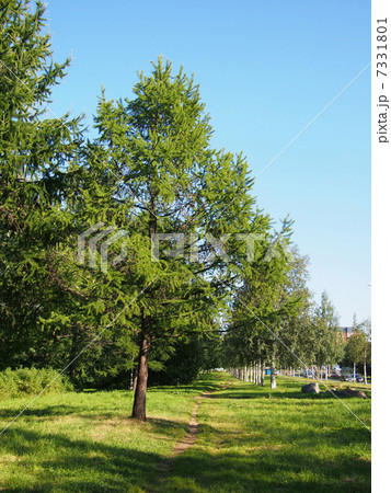 Park Park 7331801