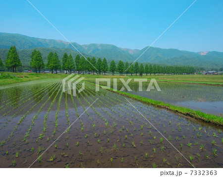 田園風景 7332363