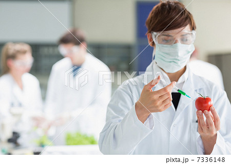 Woman injecting liquid in tomato while doing research Woman injecting liquid in tomato while doing research 7336148