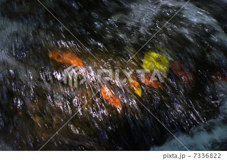 小川に日差しの写真素材