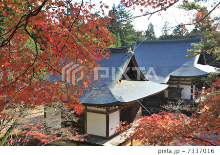京都　秋の神護寺 7337016