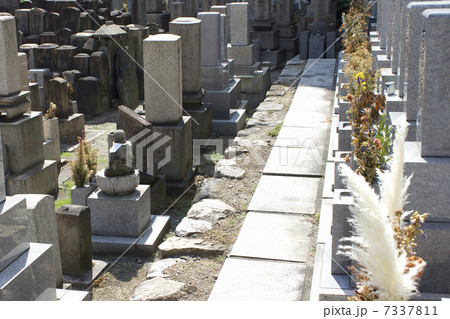 共同墓地 7337811