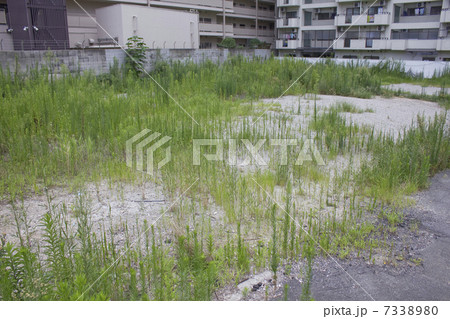再開発用の空き地 7338980