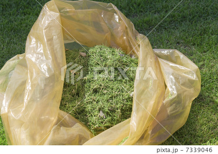 芝刈り機で刈ったゴミ袋に入れた芝 7339046