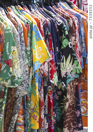 アロハシャツ 7339352