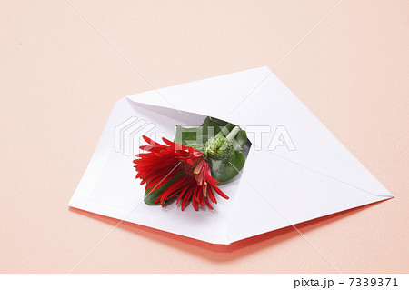 白い封筒に入れた赤いガーベラの花 7339371